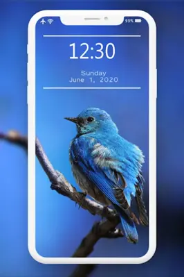 Blue Wallpaper android App screenshot 4